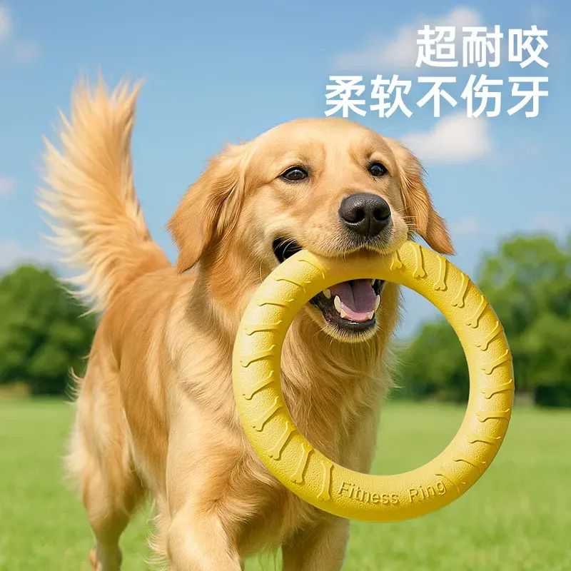宠物玩具EVD狗狗飞盘大型犬边牧金毛狗狗解闷玩具小狗玩具咬不烂
