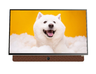 24" 24LP6000G Portable 手提式 GOOGLE Monitor 顯示屏 24LP6000