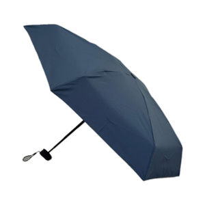 [Free Gift] Folding Umbrella (Free Size) 