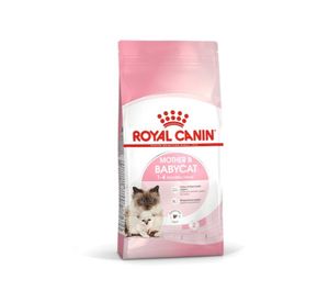 BA344K 1-4months old kitten 4kg