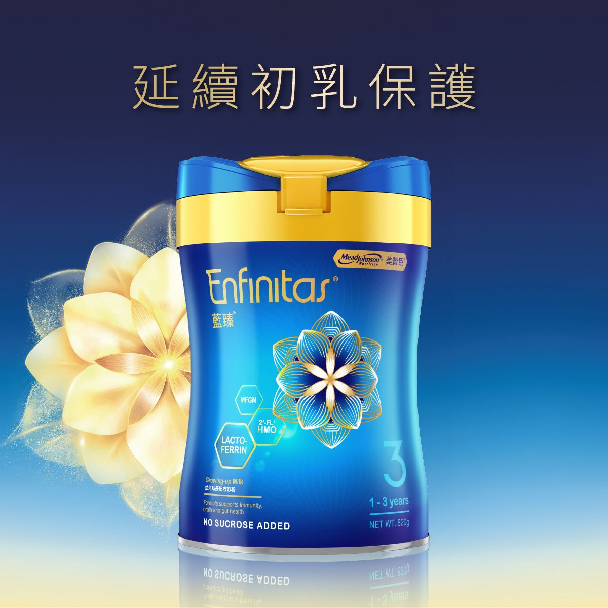 [官方正貨] 美贊臣 Enfinitas 藍臻3號配方奶粉 (嬰兒奶粉) (1-3歲適用)