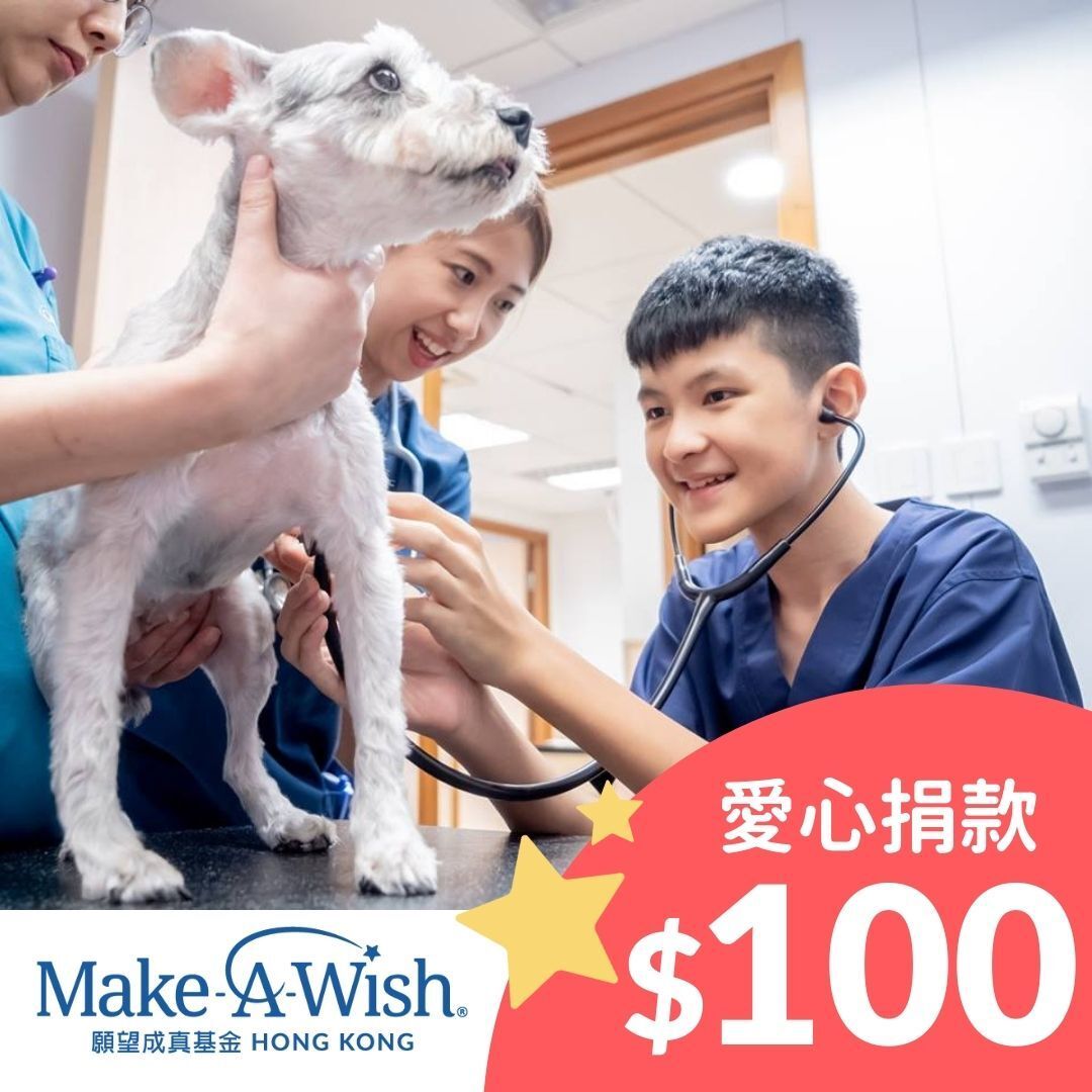 慈善捐款 $100 - 請捐助重病兒童實現願望 重燃生命希望