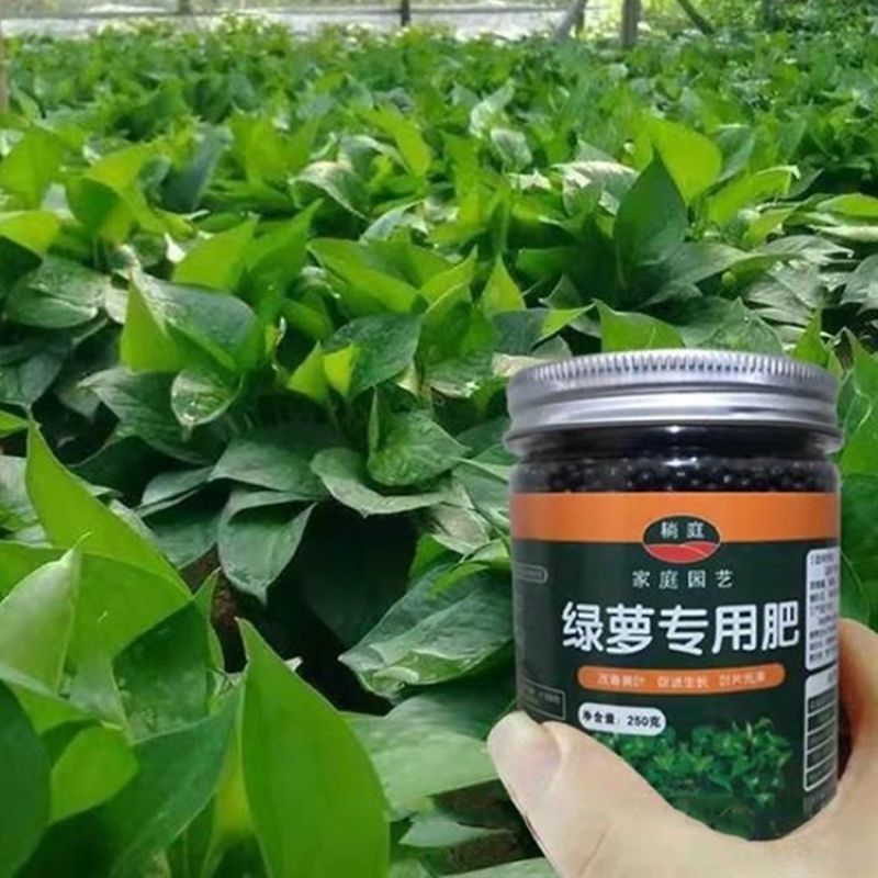 綠植通用有機肥料 家用緩釋肥，規格：綠蘿肥