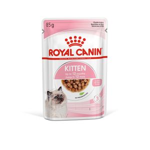 RC Kitten Instinctive 12 85g