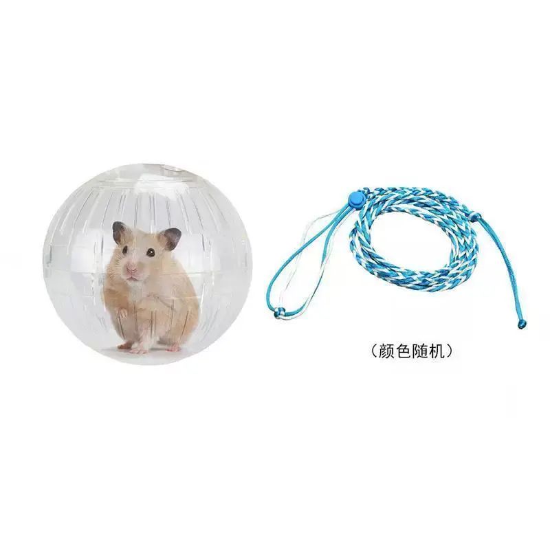 大號倉鼠跑球金絲熊解悶玩具用品不卡腳運動全透明滾球鼠鼠走路球