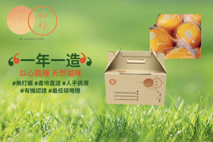 有機橙 6個裝禮盒(每個直徑約75毫米, 連包裝重量  約1.5公斤) 