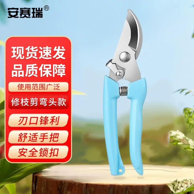 安赛瑞 修枝剪刀果树剪园艺剪 花卉工具园林绿植剪刀花艺 藍色彎頭5J00324