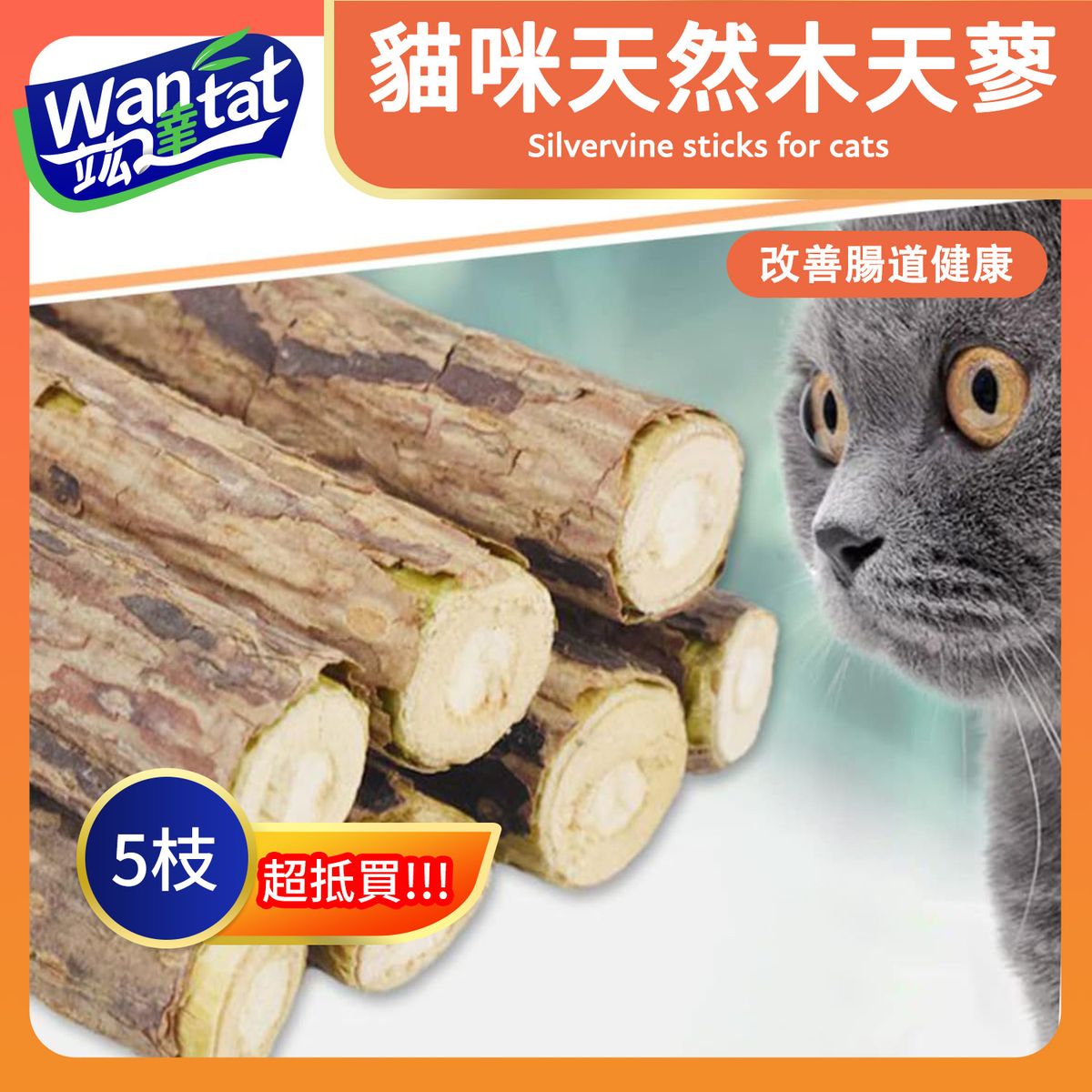 貓咪天然木天蓼，貓薄荷潔齒棒，啃咬玩具，磨牙玩具，貓零食，改善腸道健康，吐出毛球，有助貓咪放鬆 [5枝裝]