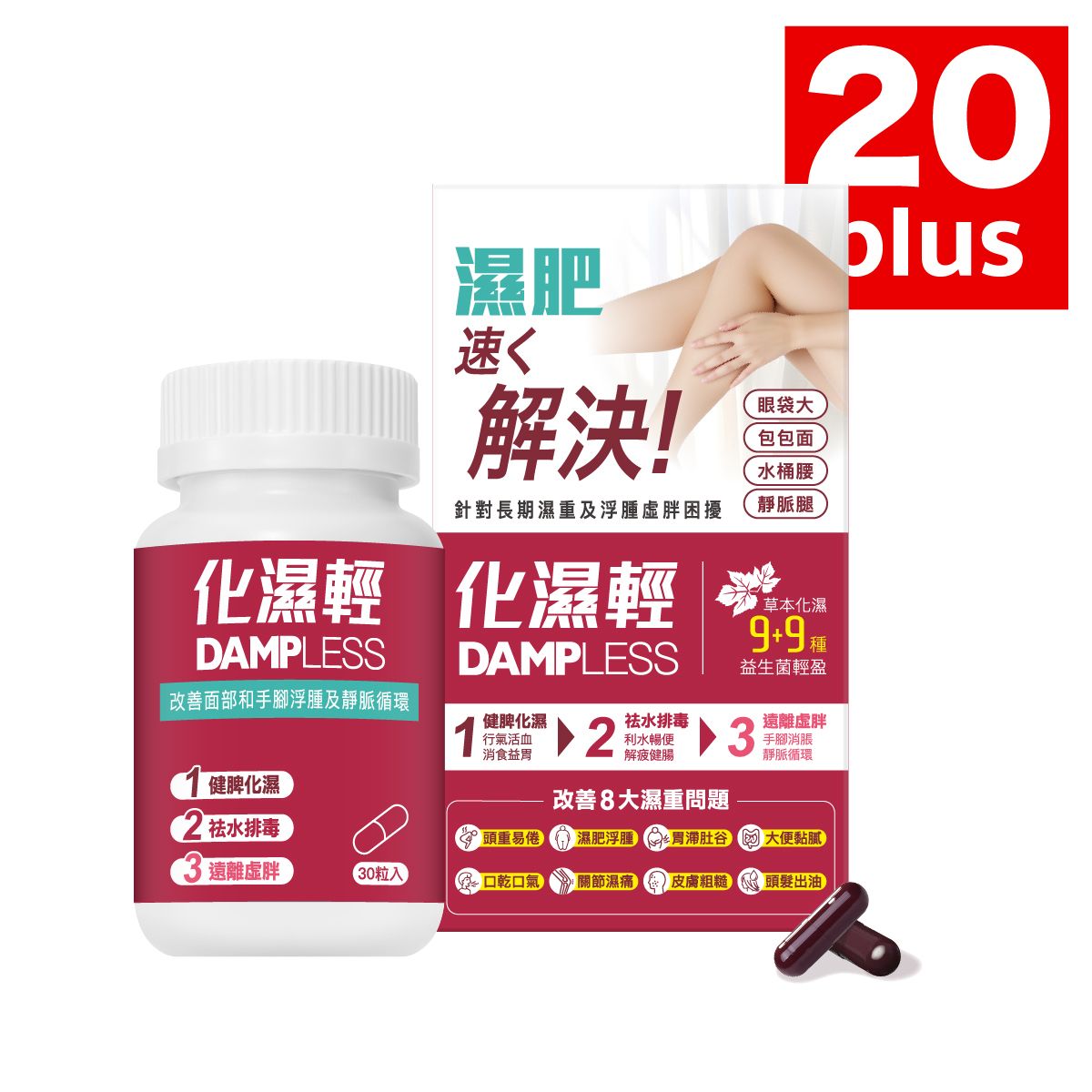 Dampless (1 Box)(Best Before: 24 Aug 2028)