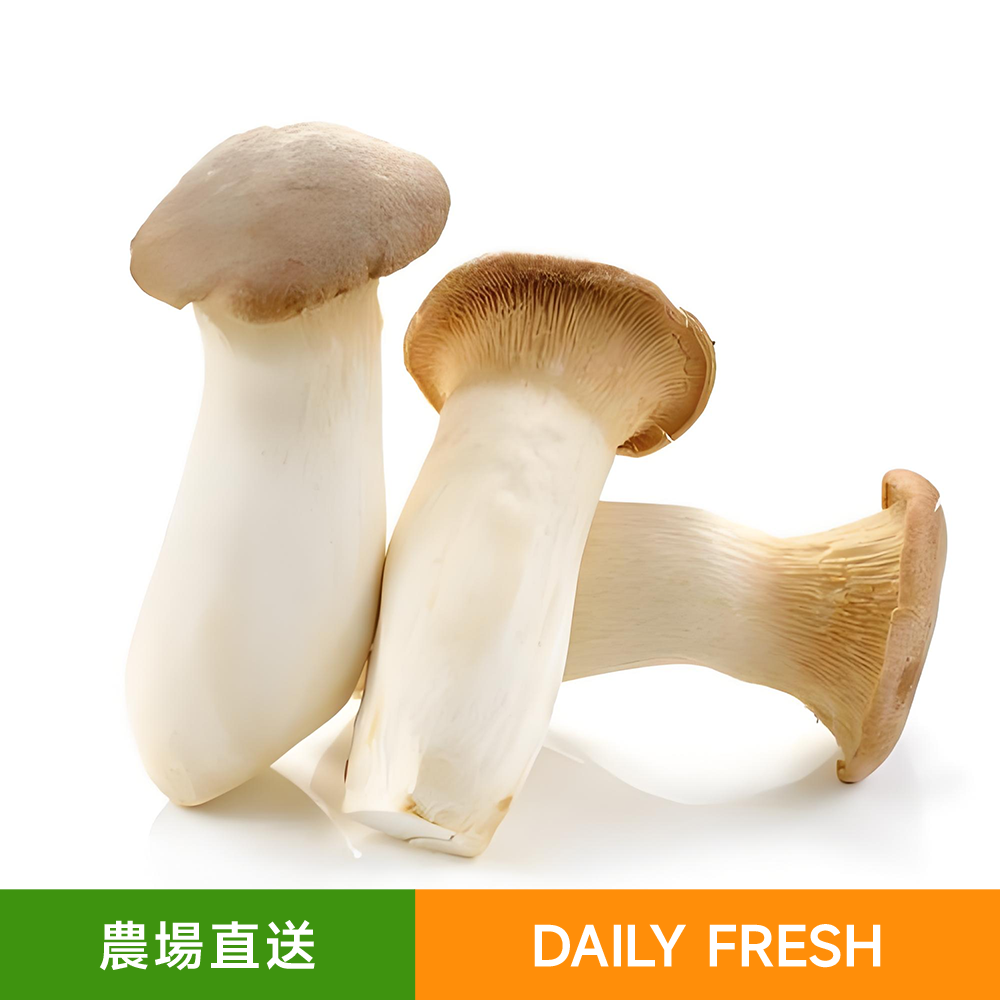 新鮮有機種植杏鮑菇/刺芹菇（1包/約600g）口感滑嫩 香味濃郁