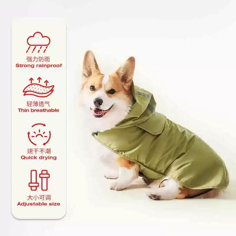 狗狗防水雨披反光泰迪比熊專用柯基雨天衣服