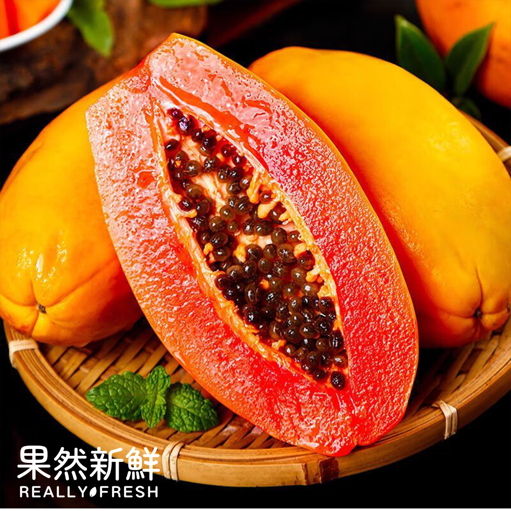 Fresh and naturally ripe red papaya on the tree (2-3 large ones)