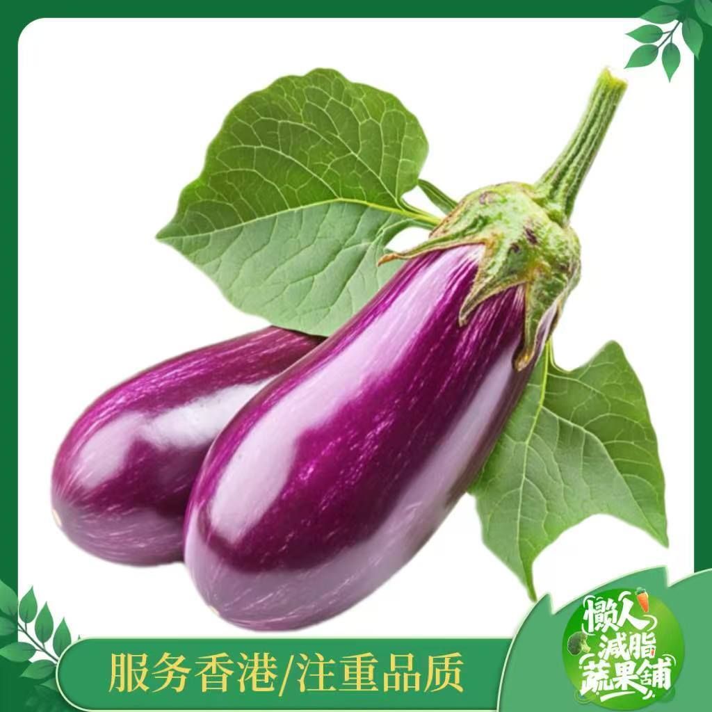 矮瓜/紫茄子(500-700g)ナス