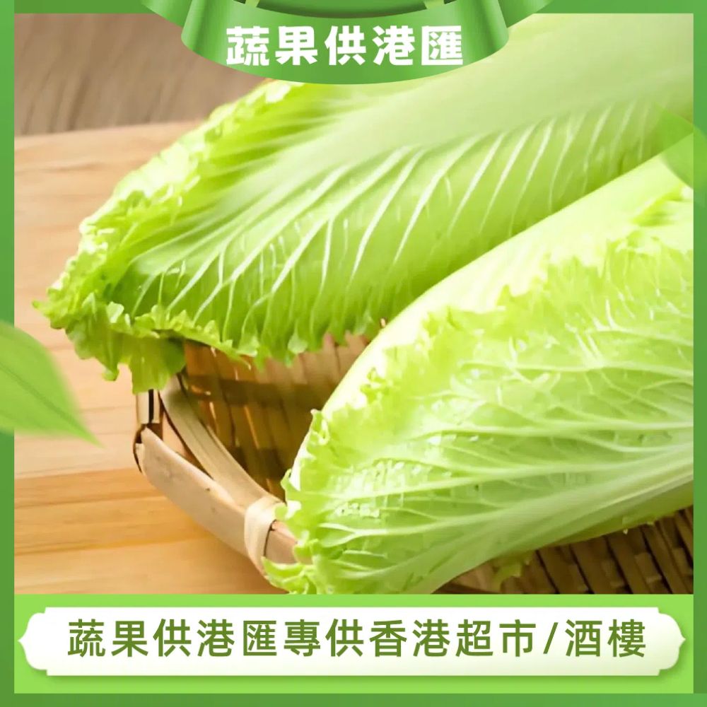 龍牙菜/紹菜(500-700g)