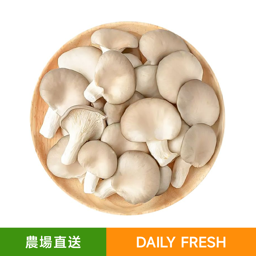 有機種植秀珍菇（150-200g）鮮平菇 蚝菇 鲍鱼菇