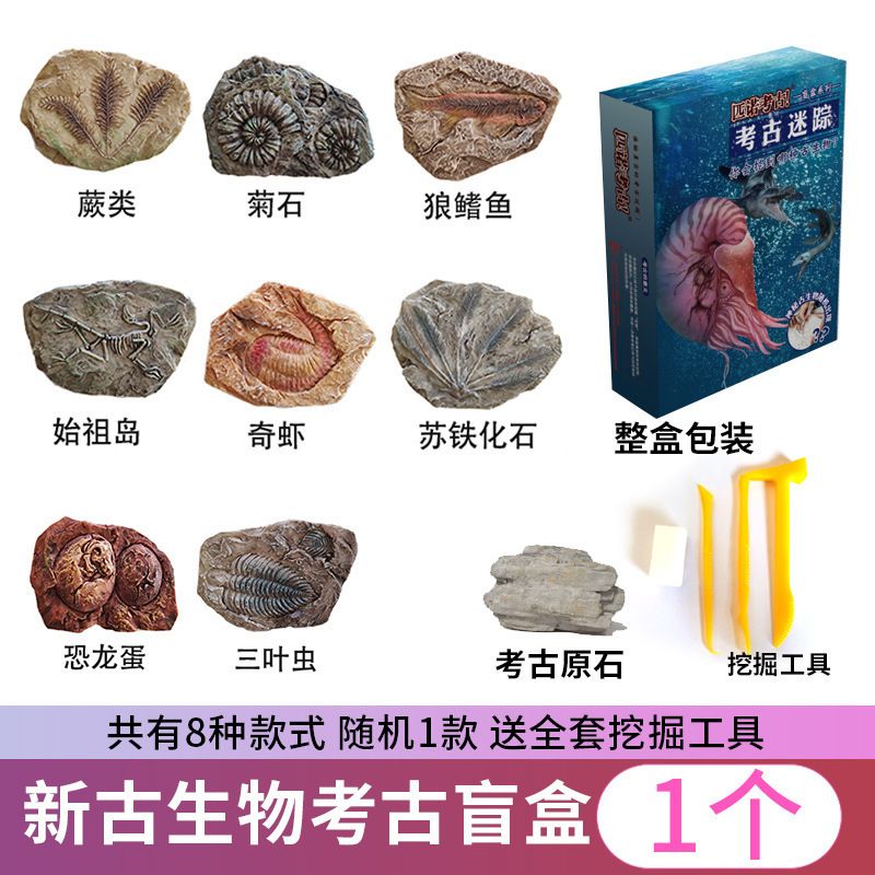 考古儿童玩具兵马俑青铜器恐龙化石宝古玉博物馆挖掘手工DIY盲盒古生物礼盒 【随机1款共8款】