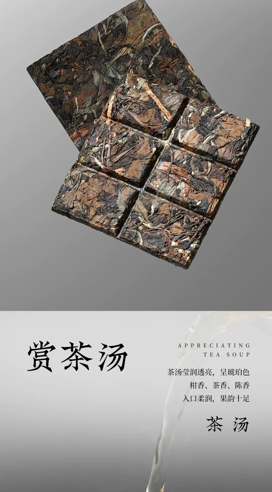 鄭蓮英| 茶葉初心繫2016陳皮白茶福鼎白茶貢眉新會陳皮緊壓茶小方片