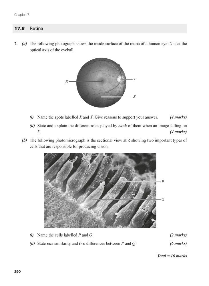 豐文 | Tackling Problems in Biology for the HKDSE - Book 2 (Revised ...