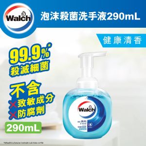 泡沫殺菌洗手液健康清香 