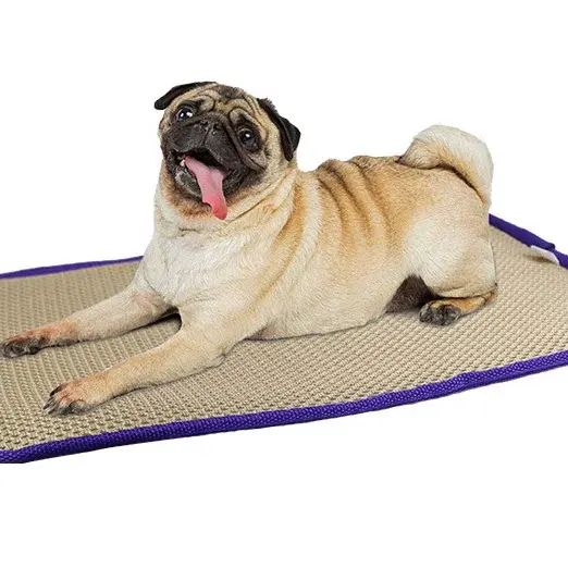 Pet double layer 