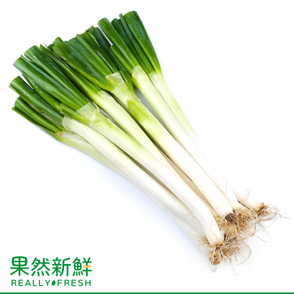 新鮮直送京蔥/大蔥/青蔥一份(約500-550g)