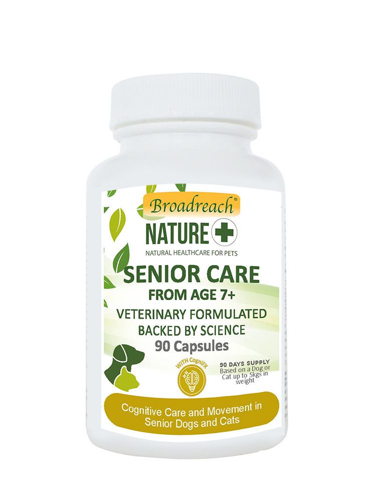 SENIOR CARE 90Capsules (Cats & Dogs) - BRBZ-SC090C - Best Before Date (dd/mm/yyyy): 19/03/2028