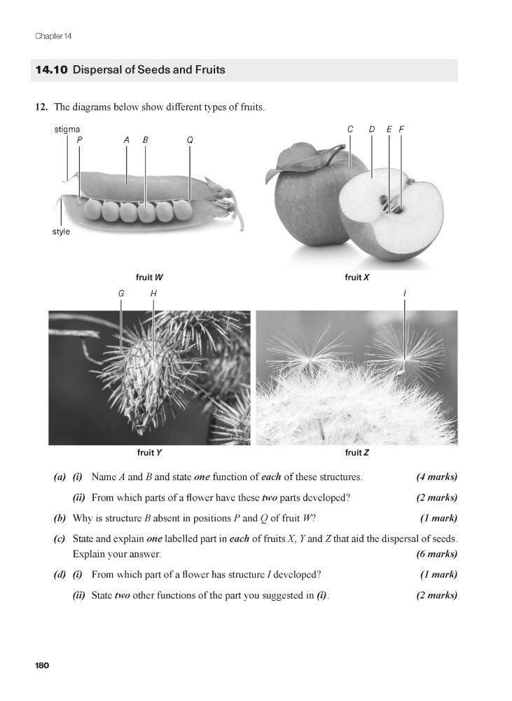 豐文 | Tackling Problems in Biology for the HKDSE - Book 2 (Revised ...
