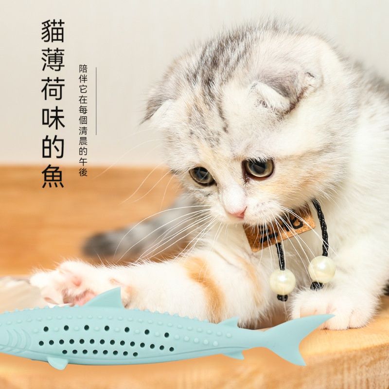 Cat toothbrush Let the cat brush its own teeth Clean teeth Cat toothbrush