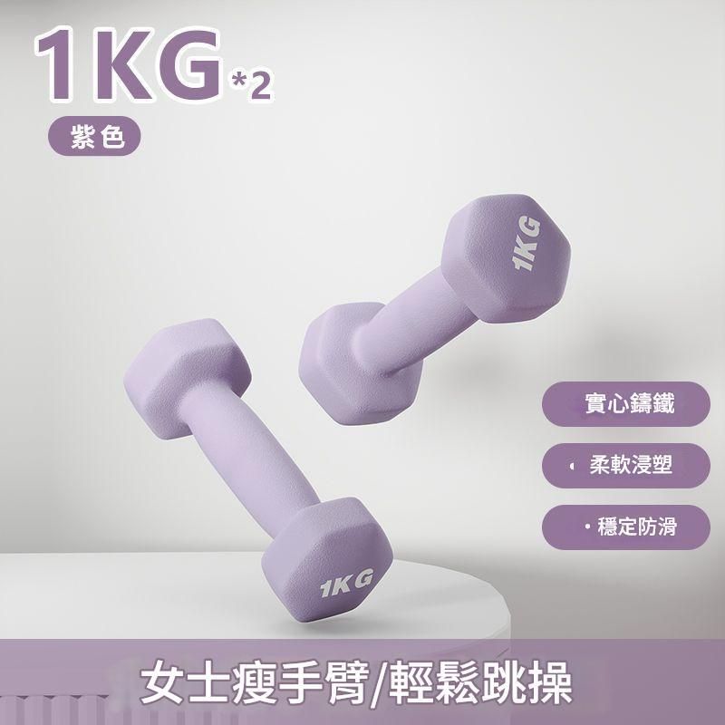 【铁芯MINI款-磨砂紫色-1kg*2支】小哑铃 运动器材 瘦臂 瑜伽练胸 亚铃专业健身 运动塑形 高效全身燃脂 健身器材
