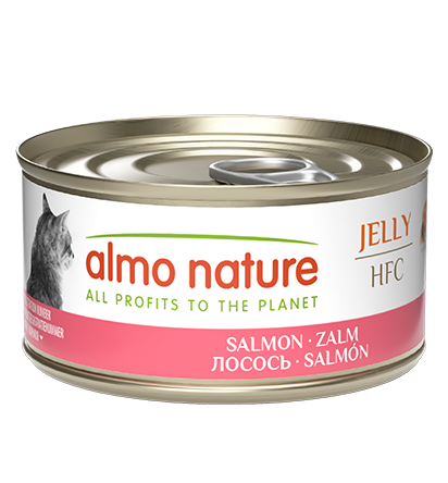 HFC Cat Canned - Salmon Jelly 70g [新舊包裝隨機發貨]