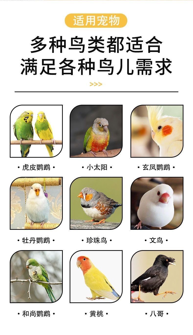 全城熱賣| （雙層方籠壓克力套餐3-黑色）透明鳥籠鸚鵡籠子虎皮鸚鵡籠子牡丹玄鳳別墅大空間觀賞籠【平行進口】 | HKTVmall 香港最大網購平台