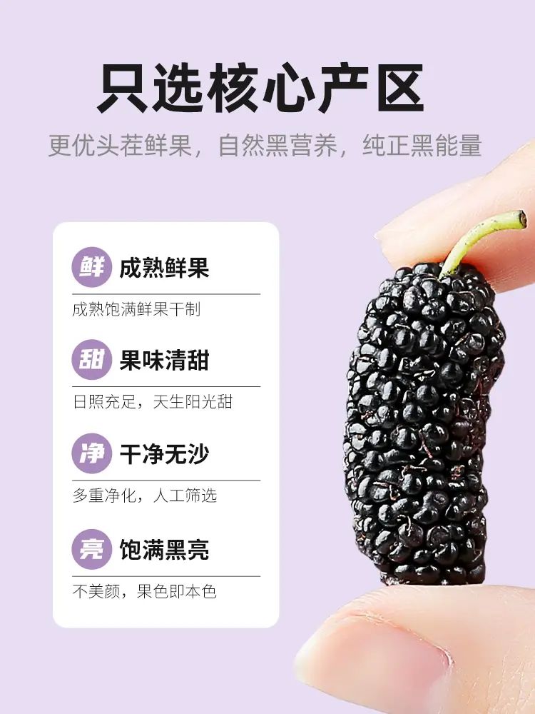 杞裡香頭茬黑桑葚幹無沙桑椹子250g/罐泡茶泡酒非免洗桑葚旗艦店