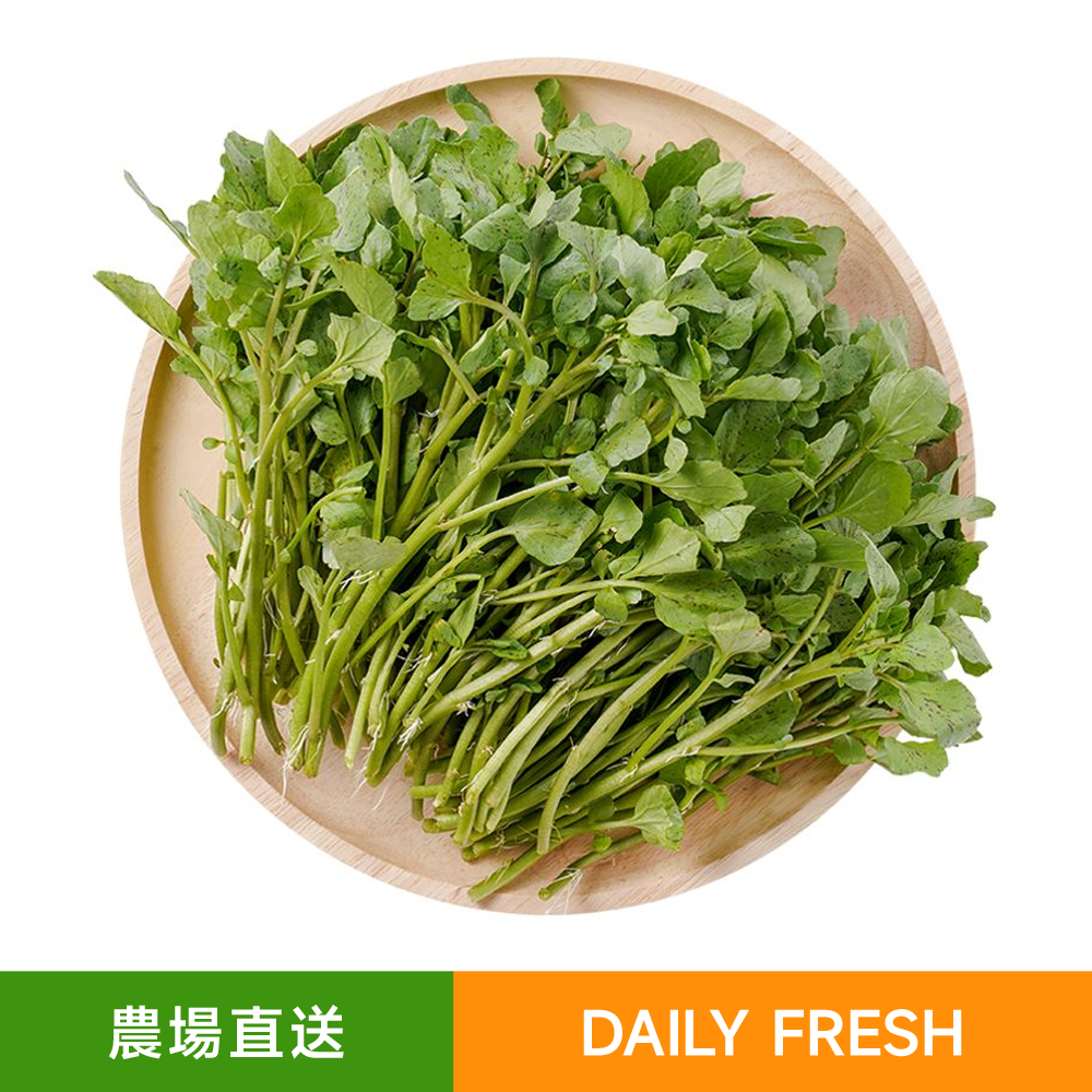 有機種植 西洋菜 約300-400g 柔嫩清香 適合涼拌 清炒 涮火鍋