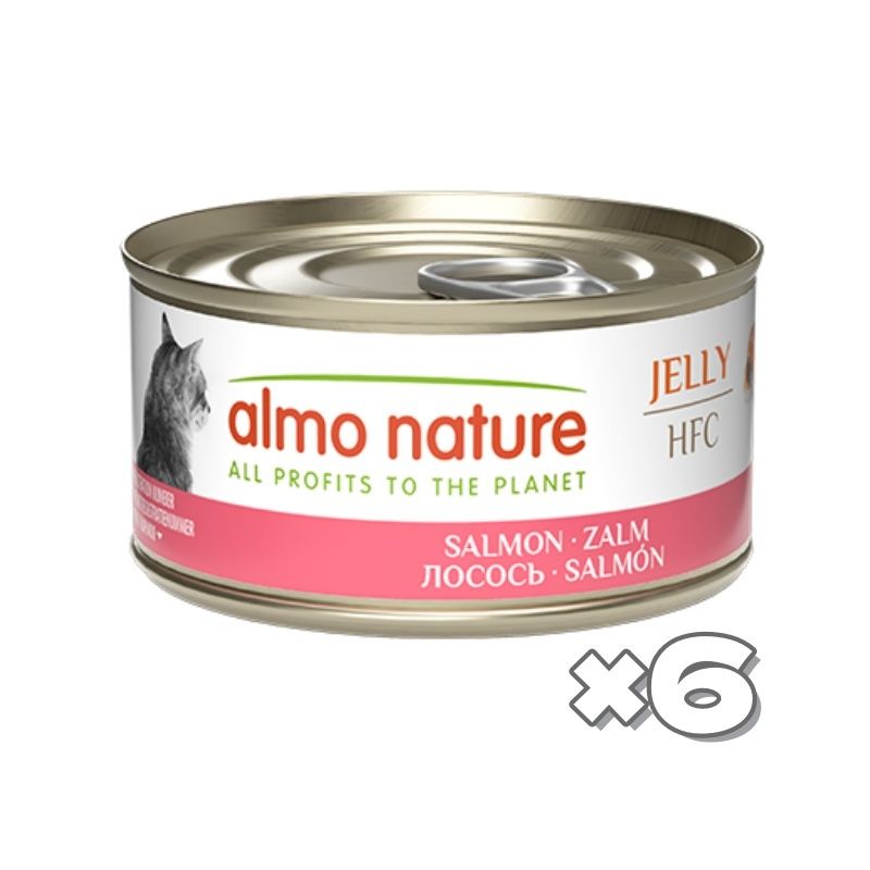 [6PCS SET] HFC Cat Canned - Salmon Jelly 70g[新舊包裝隨機發貨]