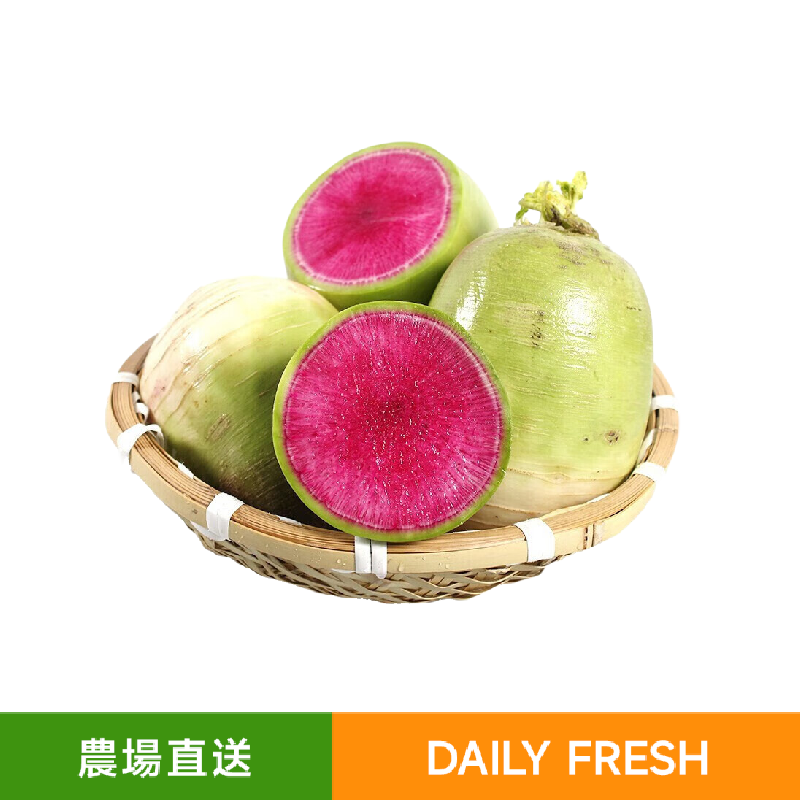 新鮮心內美蘿蔔 600g-700g 爽脆多汁 醃制一流 家常菜
