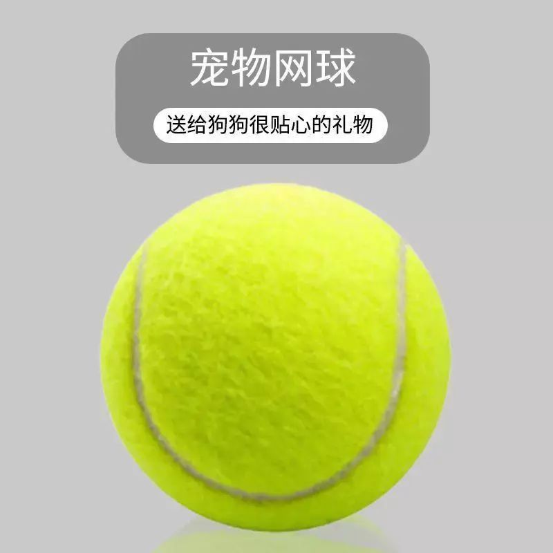 狗狗玩具波邊牧柯基金毛逗狗遛狗訓犬耐咬磨牙小狗寵物狗網球