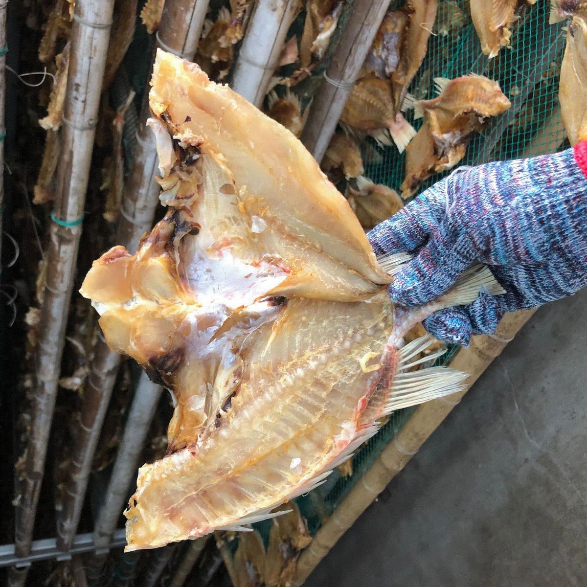 深海水產干貨紅魚干紅燈籠魚干北海特產紅魚干500g一件默認規格