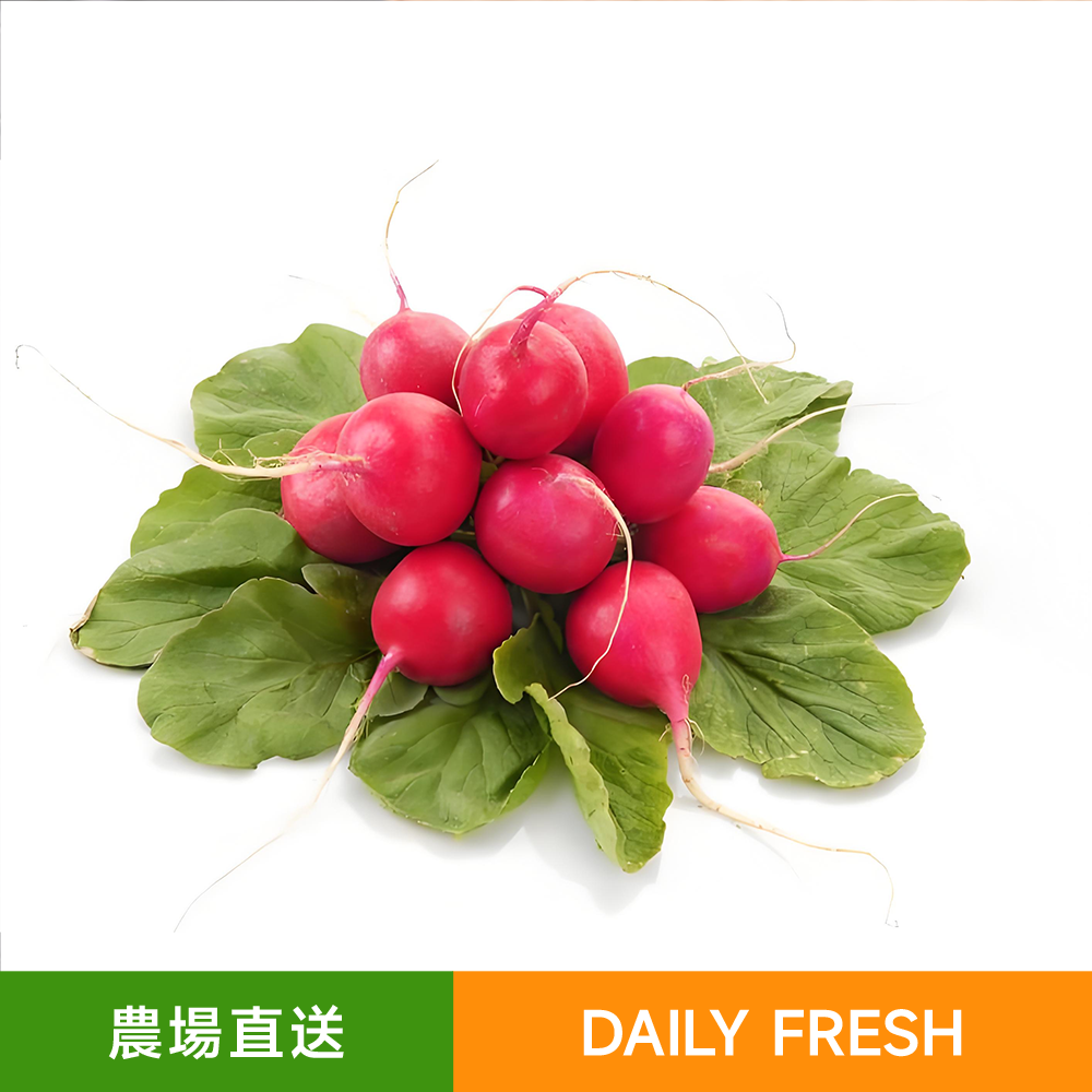 農場新鮮直送水果車釐蘿蔔/櫻桃蘿蔔（300-400g）