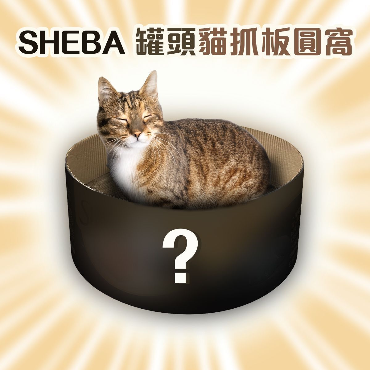 [贈品] 罐頭貓抓板圓貓窩