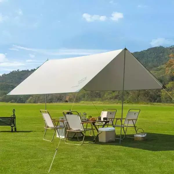 大迈-DAMO-星际飞越天幕豆蔻年华 野餐遮阳幕 户外露营遮阳幕 防晒UPF50+ 稳固耐用 户外露营涂银帐篷 野营炊野野餐防雨防晒 野营装备 露营装备