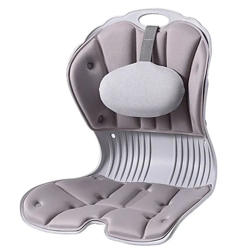 Ergonomic Lumbar Cushion Parallel Import