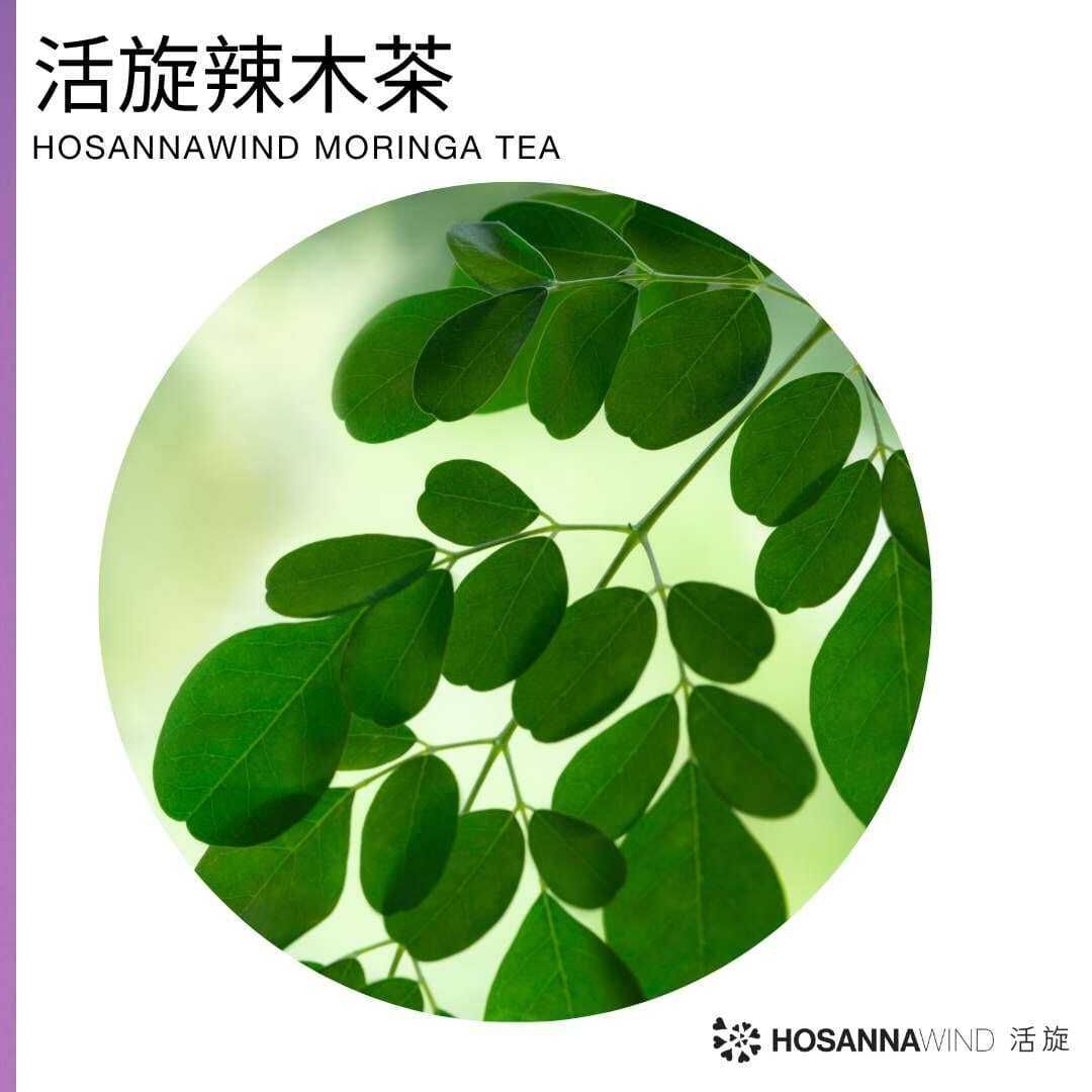 Moringa Tea 150g