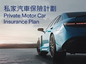 Private Motor Car Insurance Plan