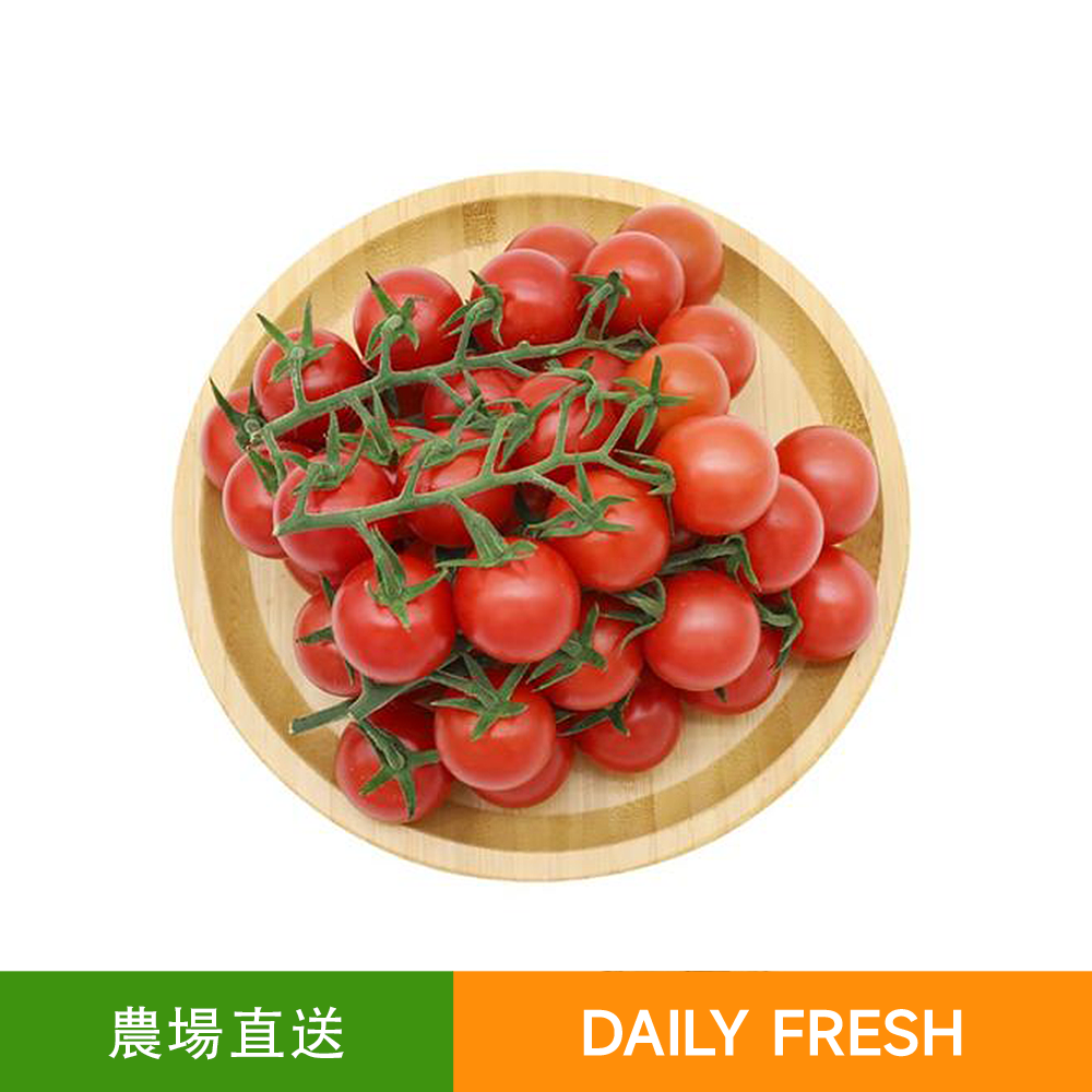 新鮮直送 帶枝車厘茄/紅串茄（500g）香甜爆汁 沙律之選