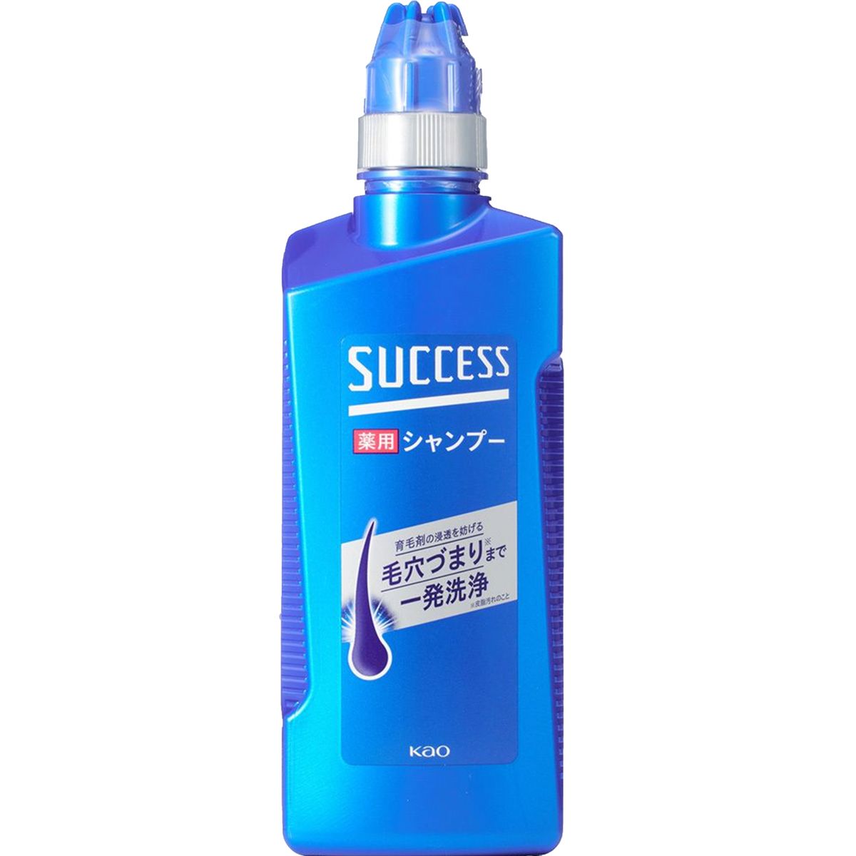KAO 花王 | SUCCESS Deep Cleaning Silicone-free Medicated Shampoo 400ml ...