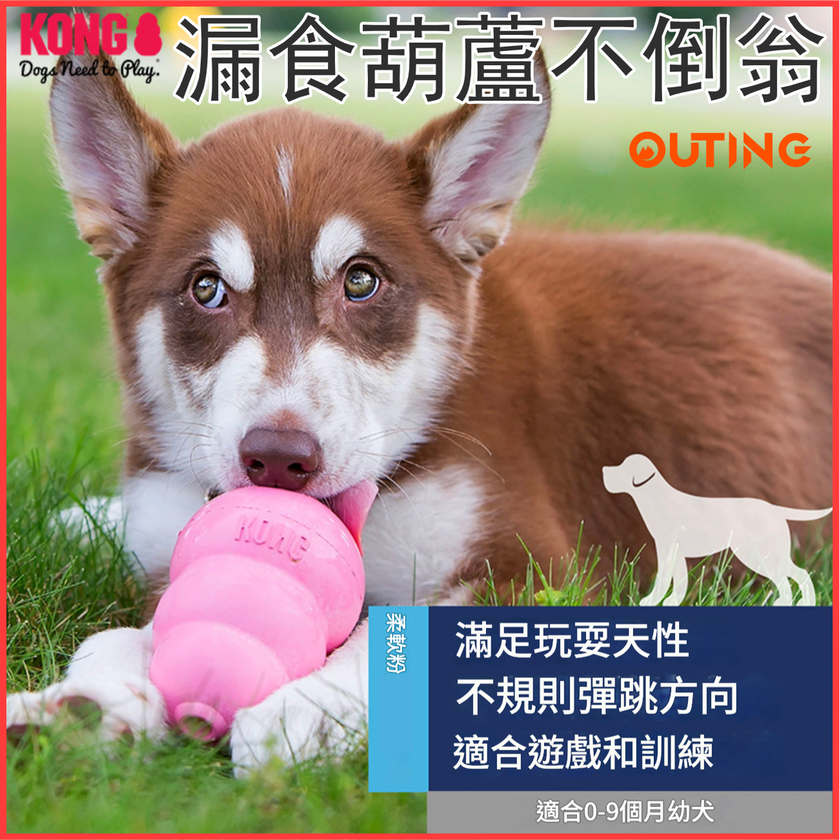 KONG 狗狗漏食葫蘆不倒翁玩具(粉紅色│大碼)│美國品牌漏食益智玩具│幼犬成犬訓練│互動解悶│無毒無害│洗碗機熱水清洗