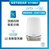 Orbi (RBSE960) 四頻 AXE11000 Mesh WiFi 6E 衛星分機 (不能獨立操作，需配合960 系列主機使用)