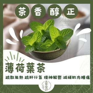 頂級薄荷葉茶 (天然無咖啡因 手工挑選薄荷葉，清新每一口)—20克(g)[密封包裝]
