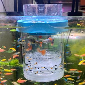 fish tank accessories hong kong fazhongfa Decorations Star Wars Aquarium Small to Large Fish Tank Resin Decor for Betta Goldfish Hideouts Cave Hide Ornament Backgrounds (at-Large) : Pet Supplies Tebru Fish Tank Ornament Fish,4PCS