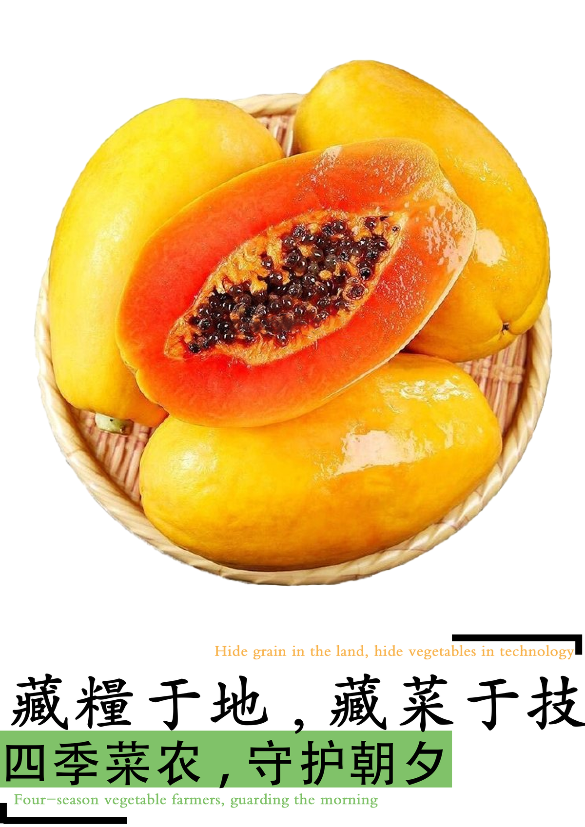 台灣牛奶木瓜（2個裝）